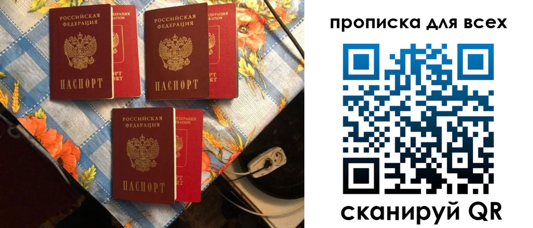 регистрация в Щиграх
